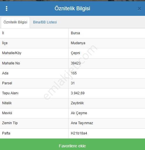 Çepni'de Asfalt Yola 150 Metre- Resmi Yola 1 Parsel Zeytinlik - Görsel 11