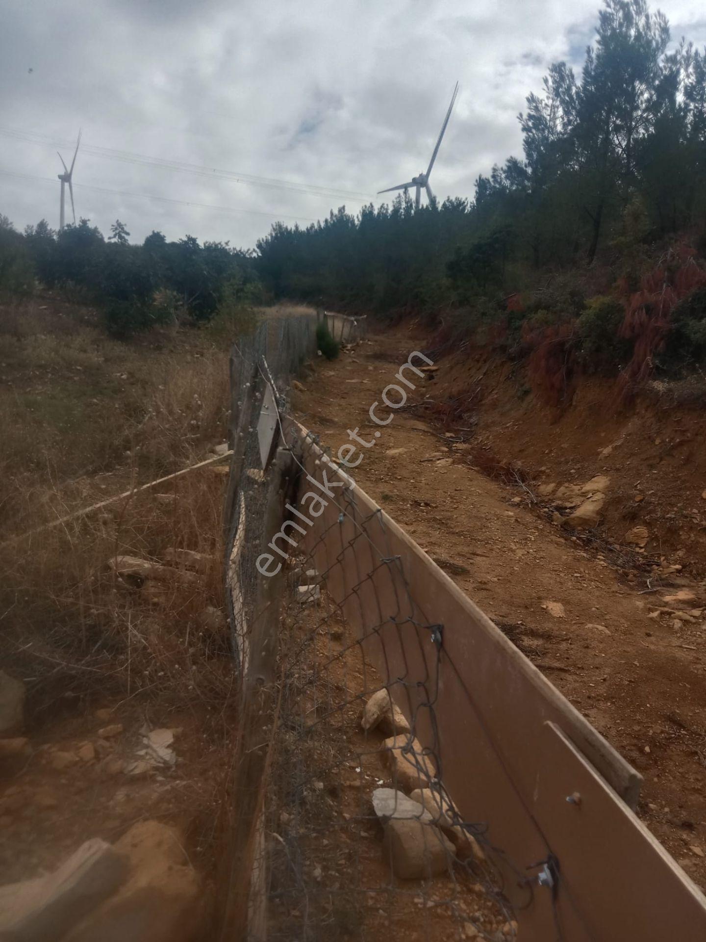 Bergama Alhatlı Köyü Satılık Tarla - Görsel 14