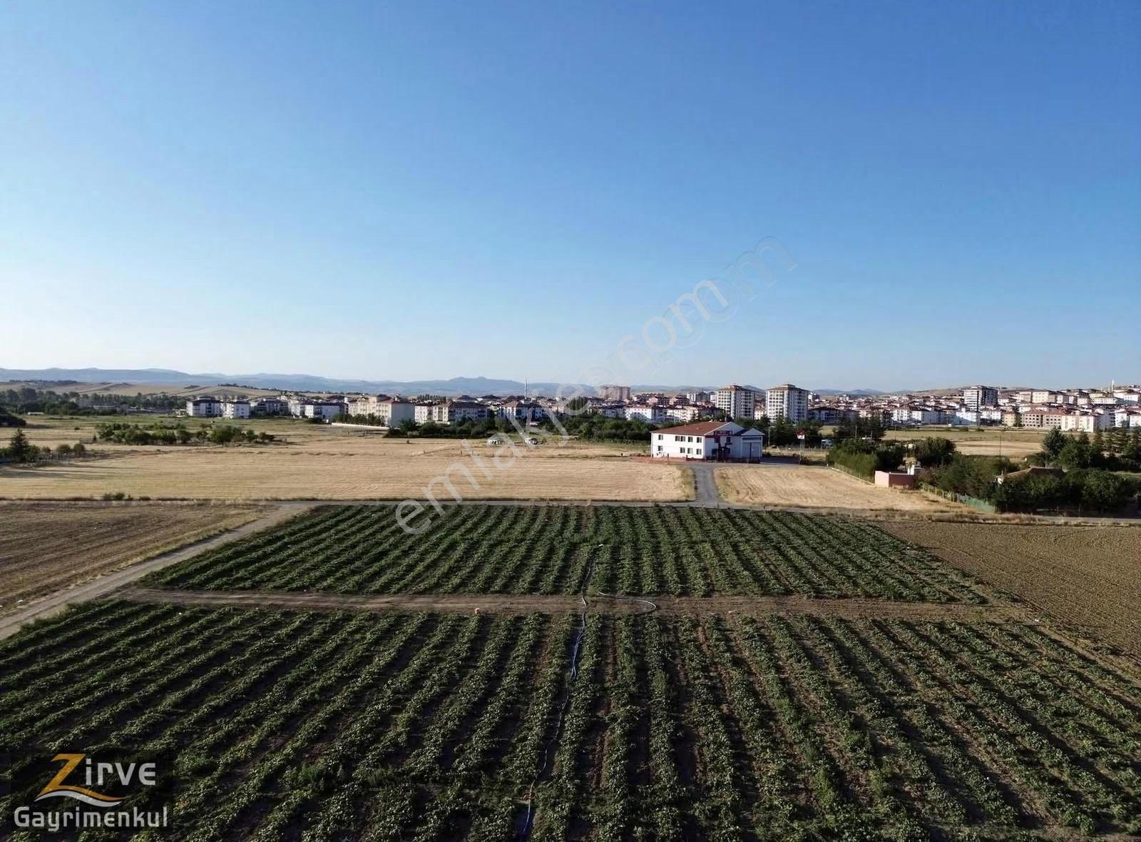 Zirve'den Tek Tapu Timurhan Mahallesi İmara Sınır 2940metretarla - Görsel 8