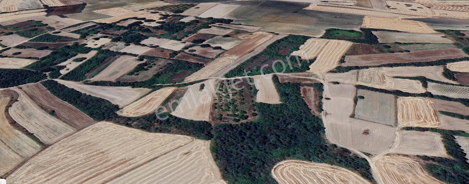 Edirne Havsa Azatlı'da Satılık 1800m² Yolu Olan Tek Tapu Tarla - Görsel 8