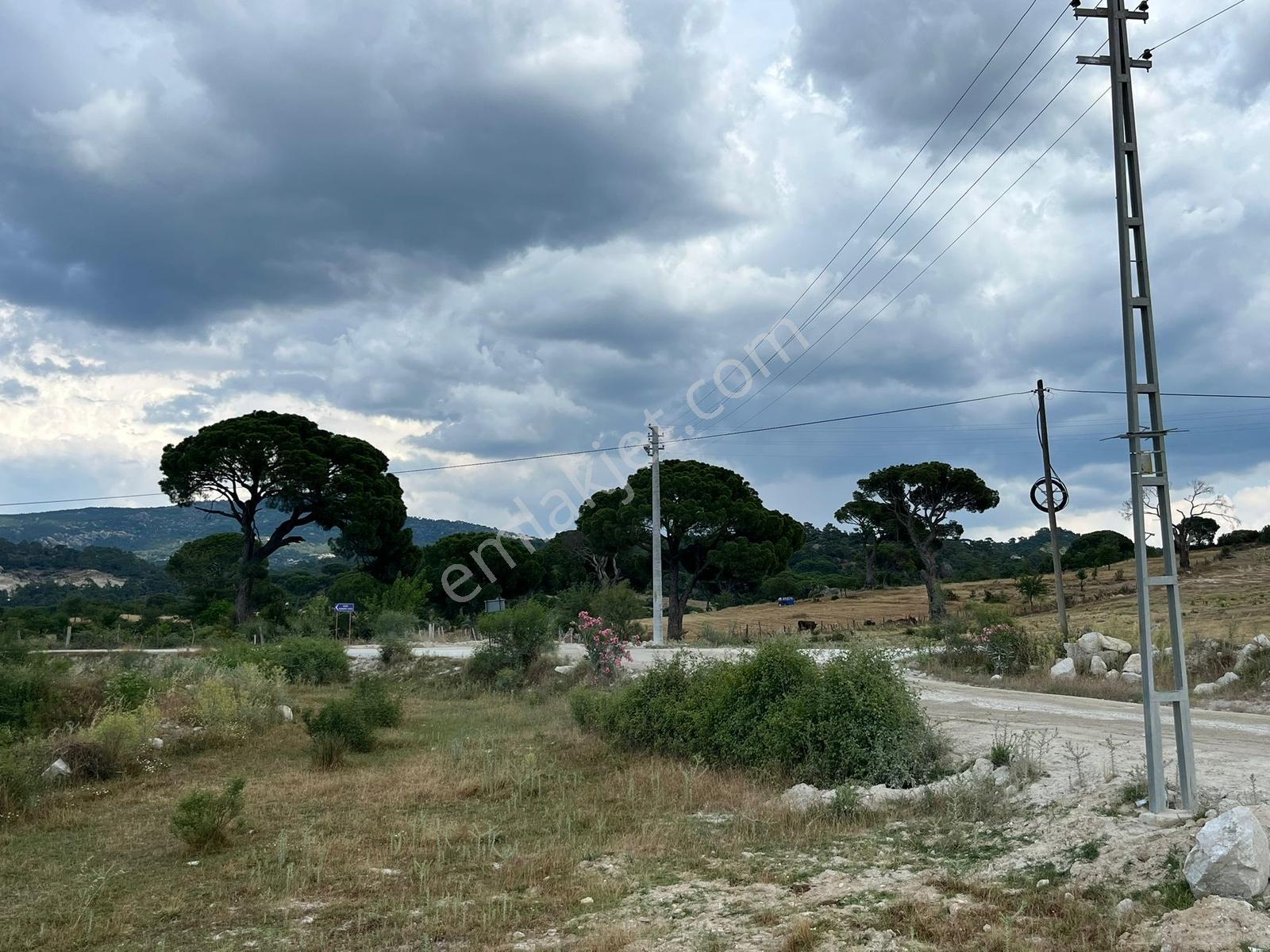 Milas Akkovanlık'ta | Yüksek Potansiyelli Köşe Parsel | 1.587 M² - Görsel 22
