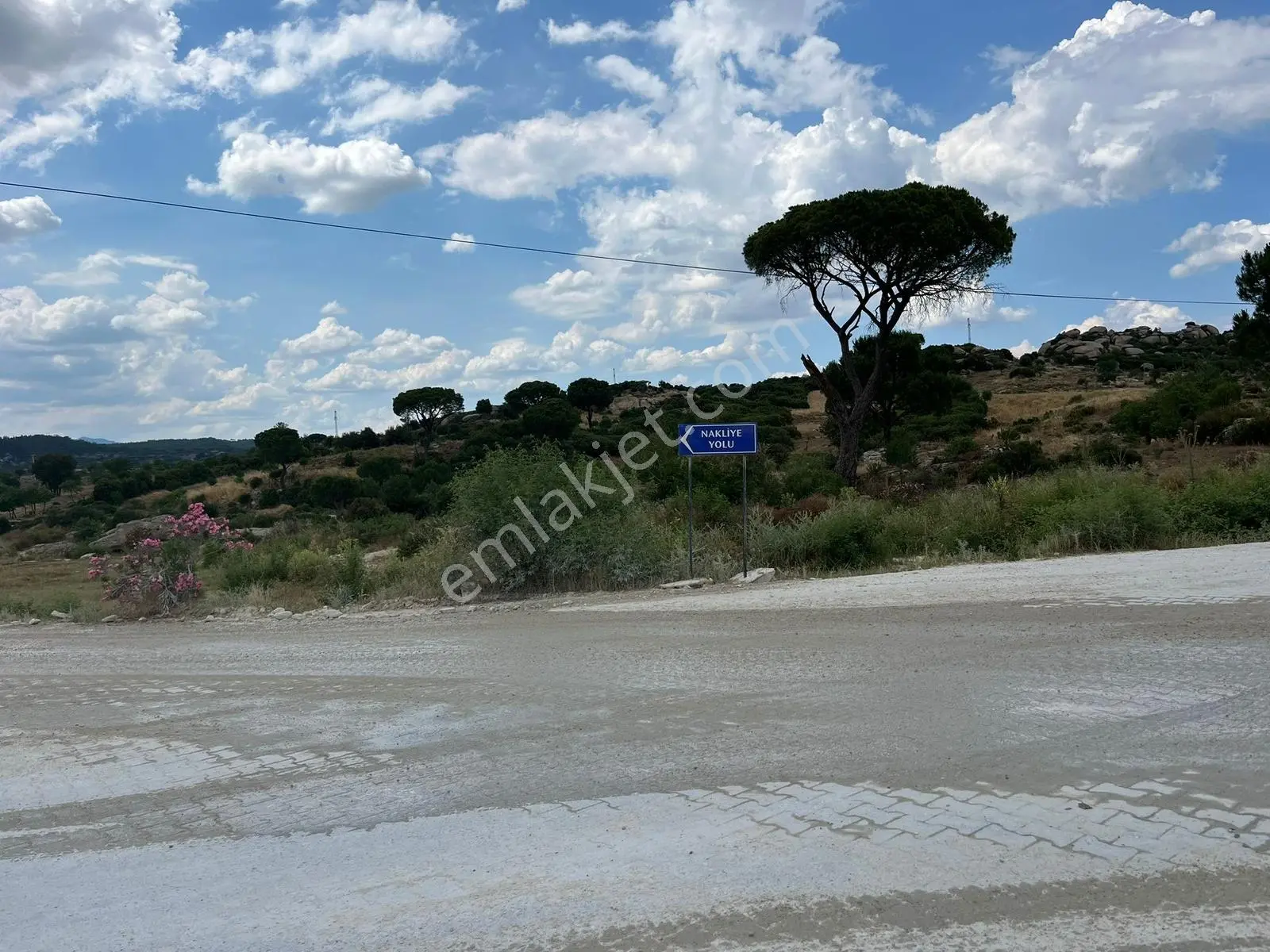 Milas Akkovanlık'ta | Yüksek Potansiyelli Köşe Parsel | 1.587 M² - Görsel 6