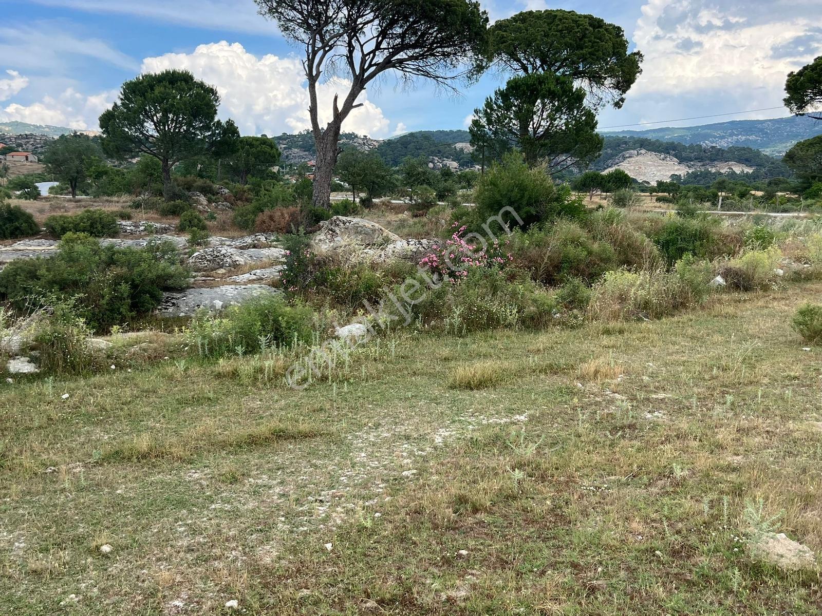 Milas Akkovanlık'ta | Yüksek Potansiyelli Köşe Parsel | 1.587 M² - Görsel 21