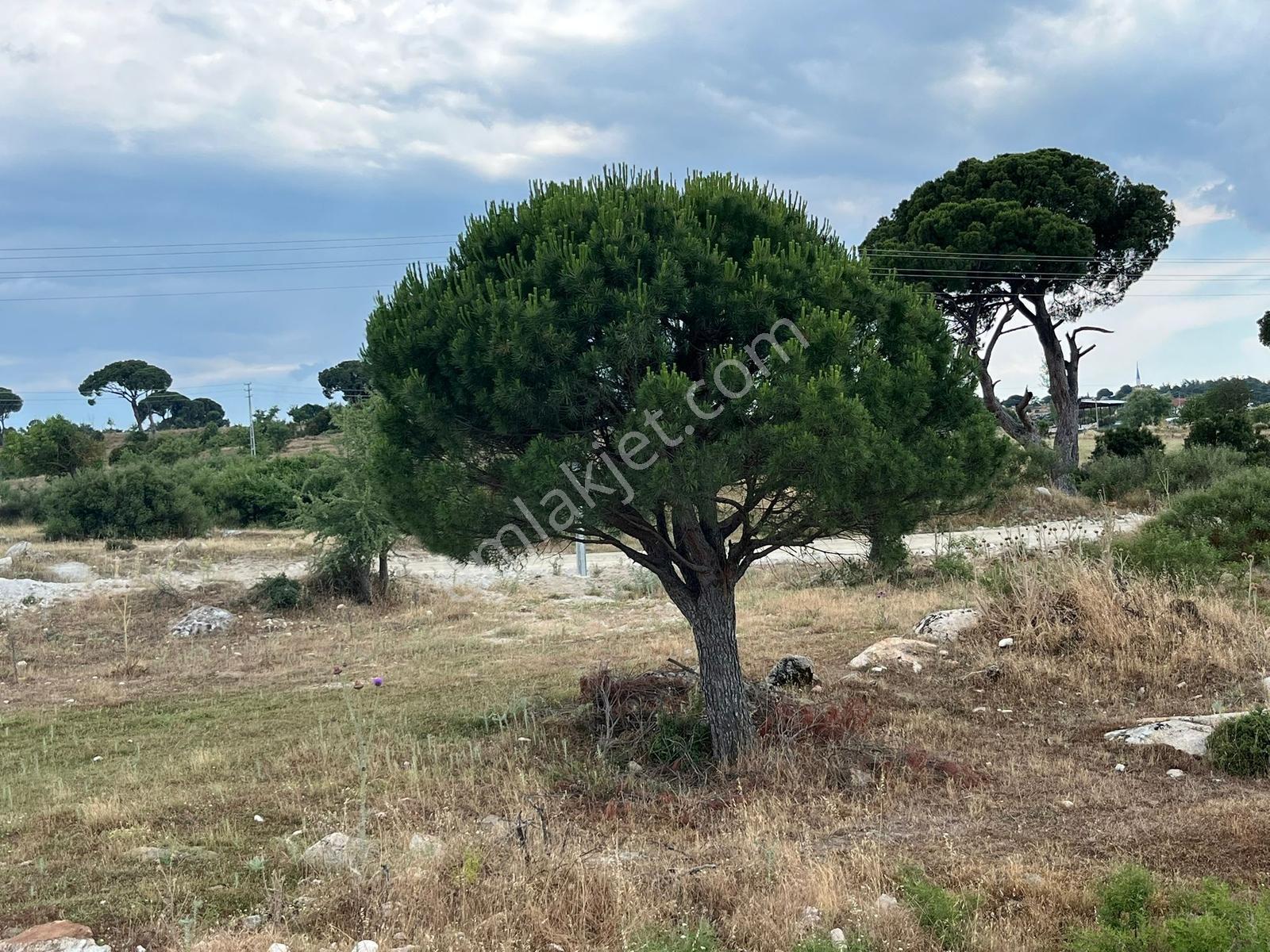 Milas Akkovanlık'ta | Yüksek Potansiyelli Köşe Parsel | 1.587 M² - Görsel 31