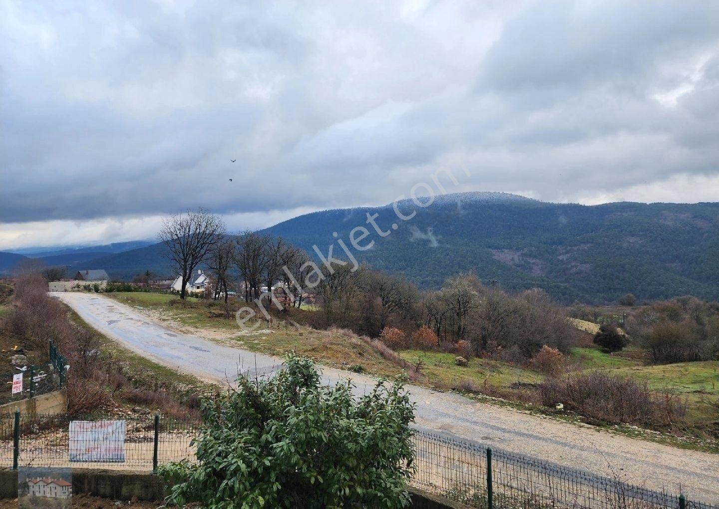 Bolu Abant Yenisefa Köyünde Konut İmarlı Büyük Arsa 4 Villalı Turizm Konutu Olarak Kullanılmakta - Görsel 37
