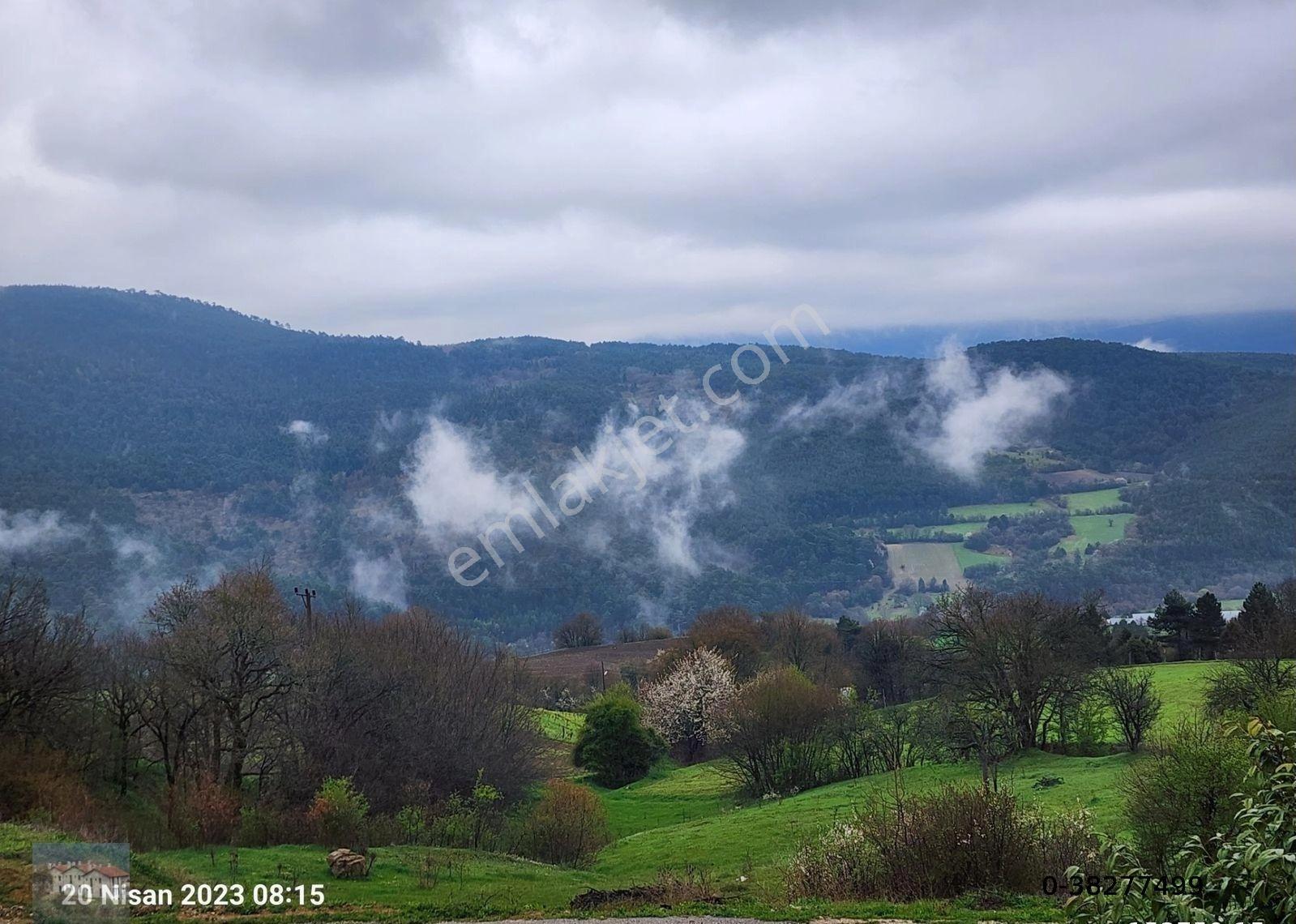 Bolu Abant Yenisefa Köyünde Konut İmarlı Büyük Arsa 4 Villalı Turizm Konutu Olarak Kullanılmakta - Görsel 36