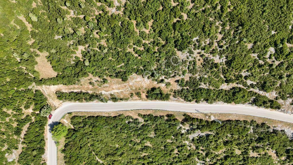 C21cius; Şahinyurdu'nda Asfalt Yola Cepheli 626 M2 Manzaralı Arazi - Görsel 10