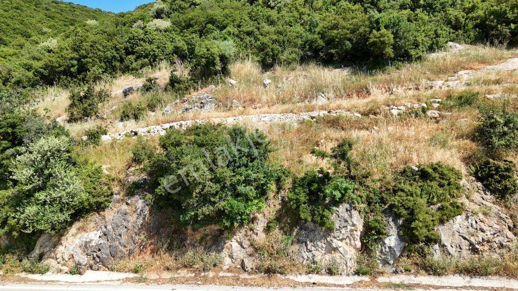 C21cius; Şahinyurdu'nda Asfalt Yola Cepheli 626 M2 Manzaralı Arazi - Görsel 5