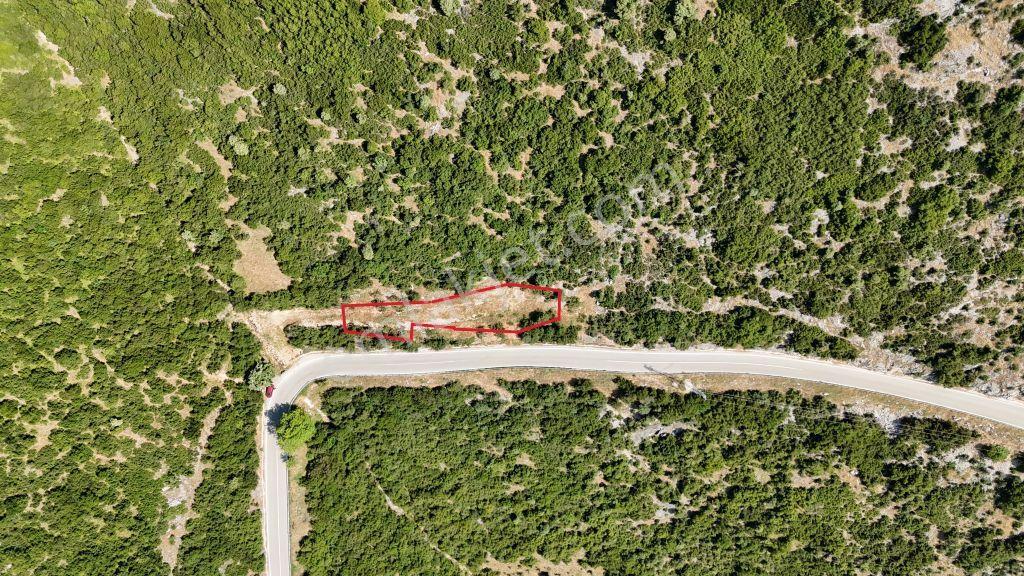 C21cius; Şahinyurdu'nda Asfalt Yola Cepheli 626 M2 Manzaralı Arazi - Görsel 3