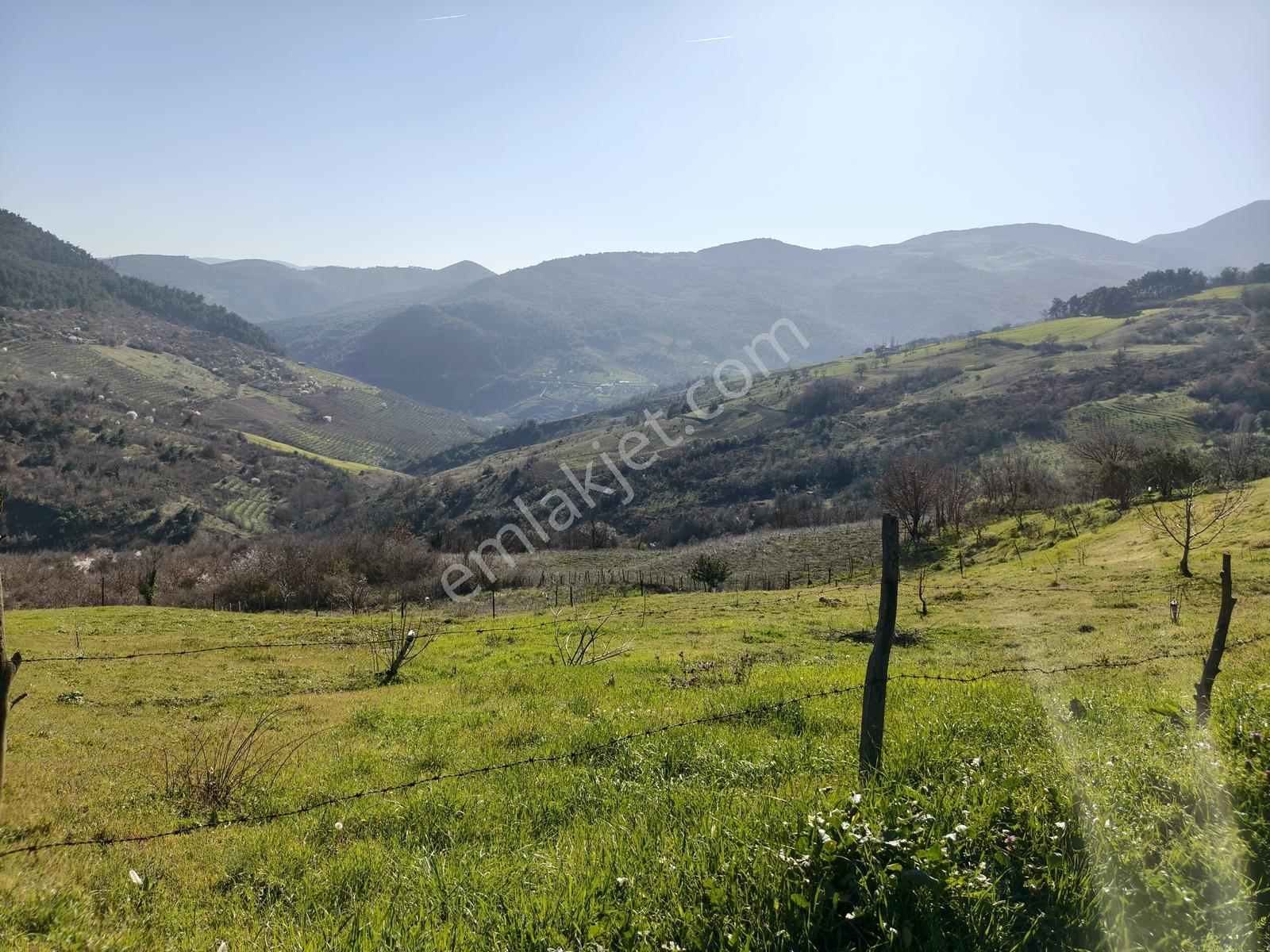 Remax Hür'den Geyve Akıncı Köyünde Satılık 3.949 M2 Bağ - Görsel 21