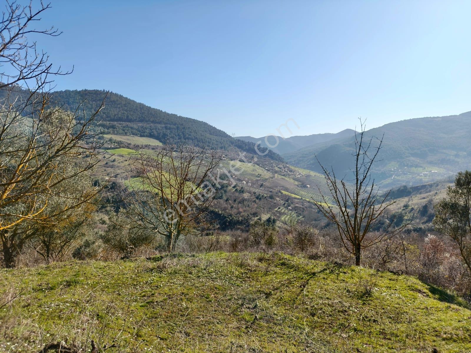 Remax Hür'den Geyve Akıncı Köyünde Satılık 3.949 M2 Bağ - Görsel 19