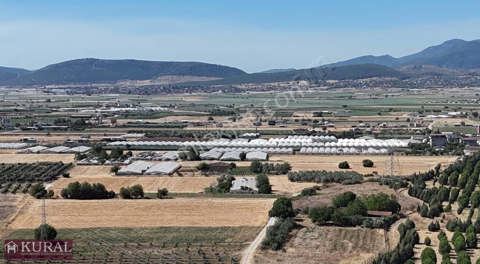İzmir Menderes Tekelide 300 M2 Elektrik Su Noter Satışlı Hobi - Görsel 11