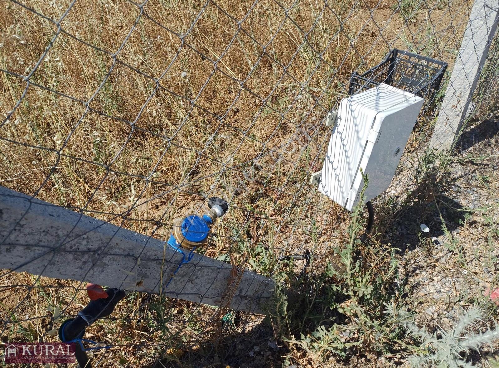 İzmir Menderes Tekelide 300 M2 Elektrik Su Noter Satışlı Hobi - Görsel 7