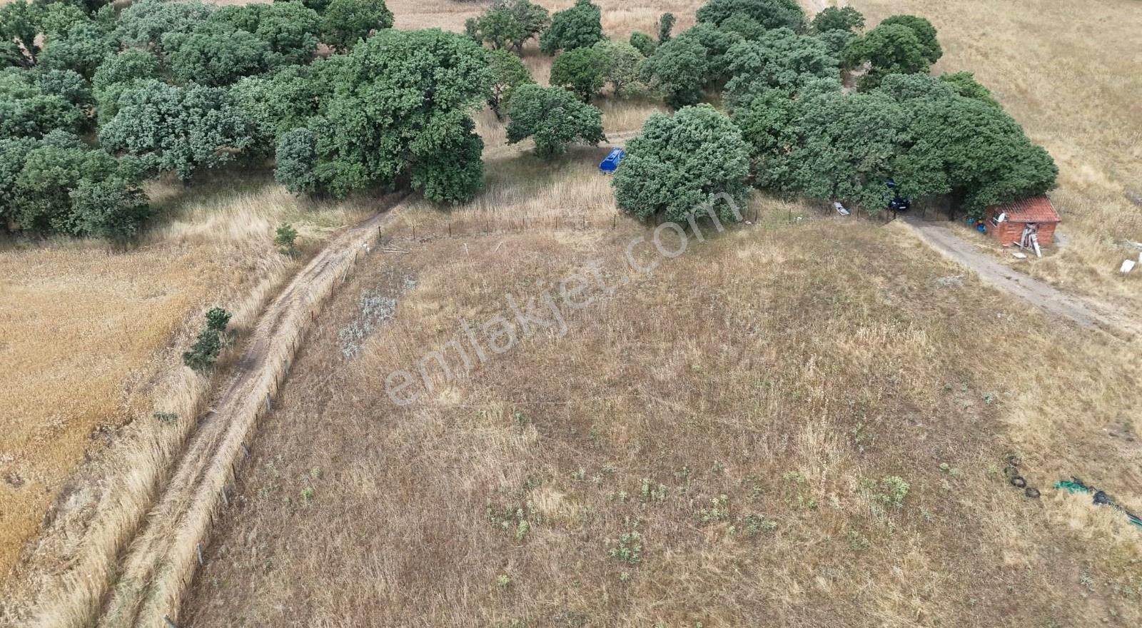 Burhaniye Şahinler Mahallesi'nde Satılık 26 Dönüm Tarla/çiftlik - Görsel 20