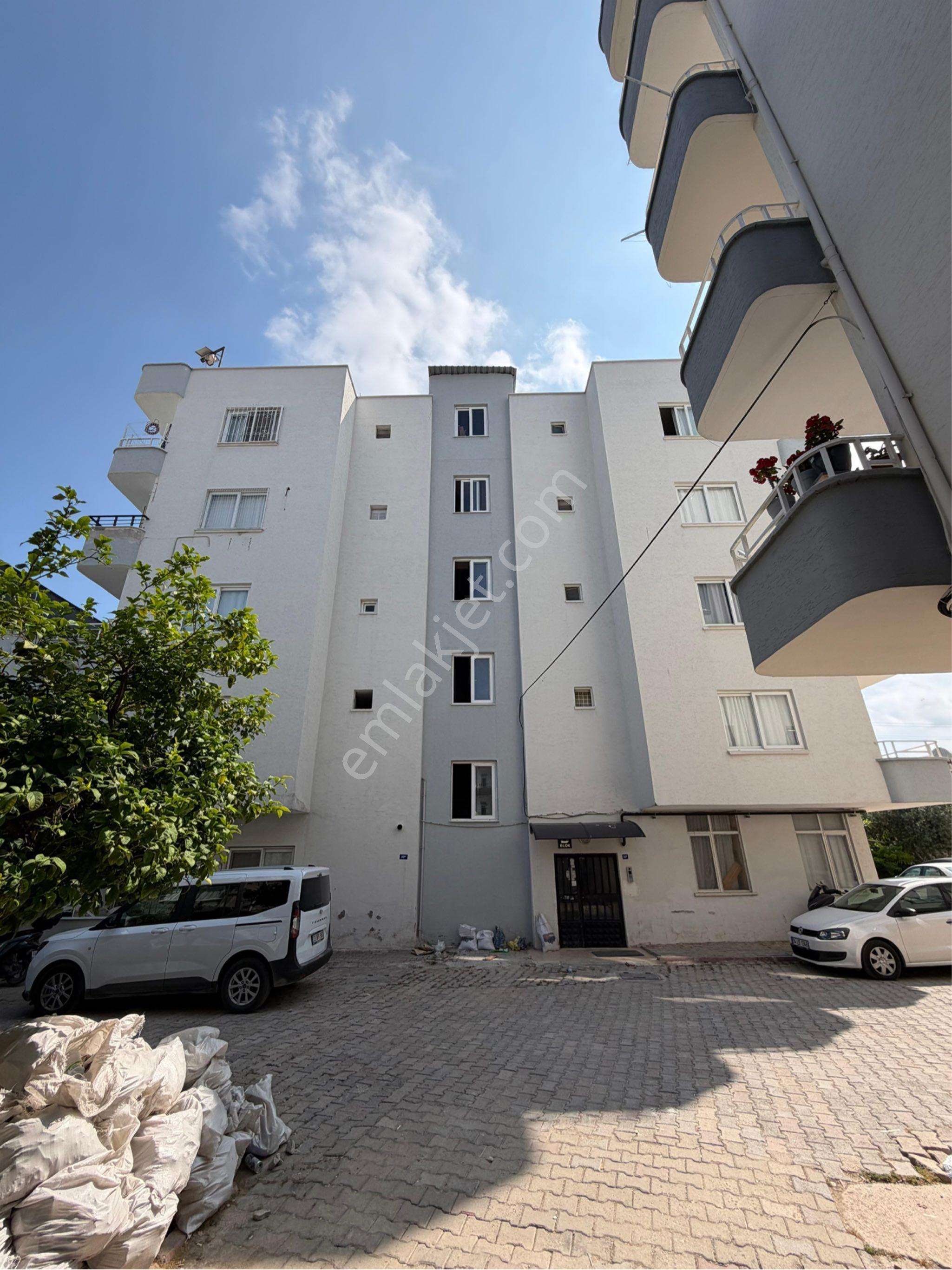 Güvenilir Sitede Ultra Lüks Tadilat Edilmiş - Görsel 21