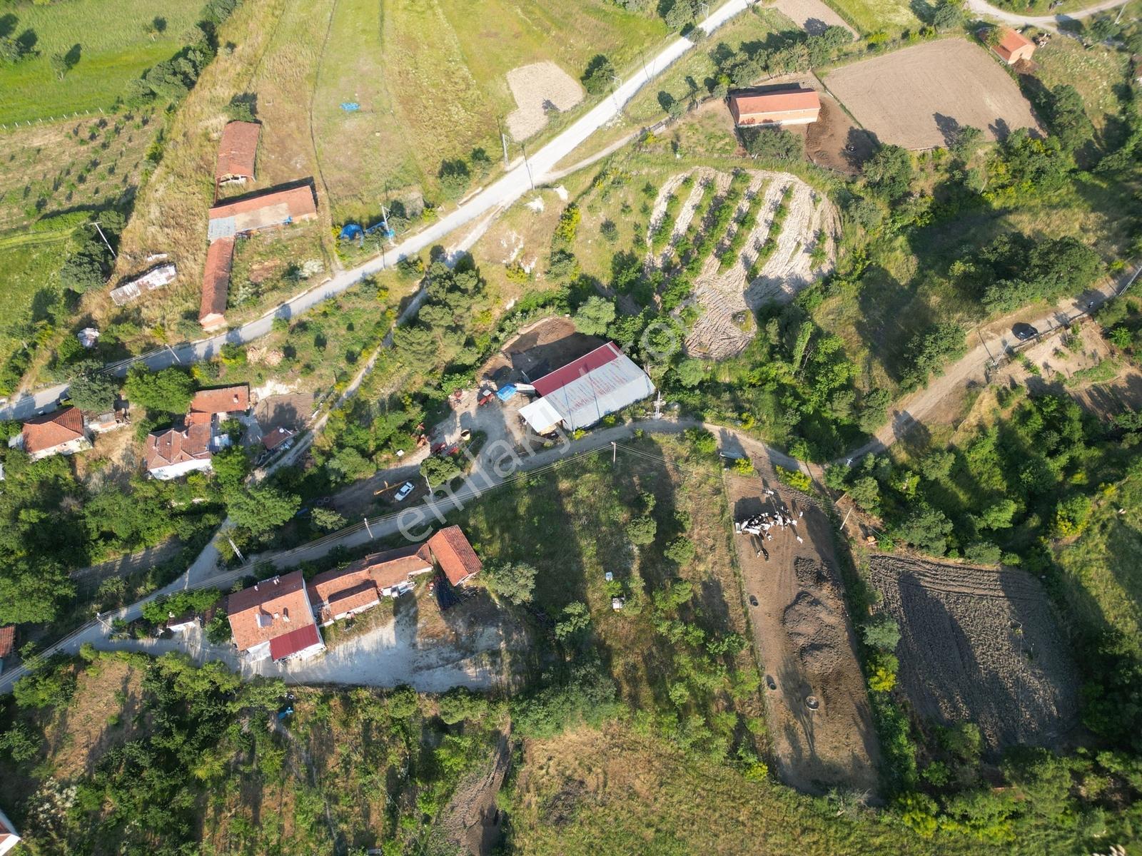 Altyapı Hazır, 1904 M² İmarlı Arsa, Meyve Ağaçları - Görsel 2