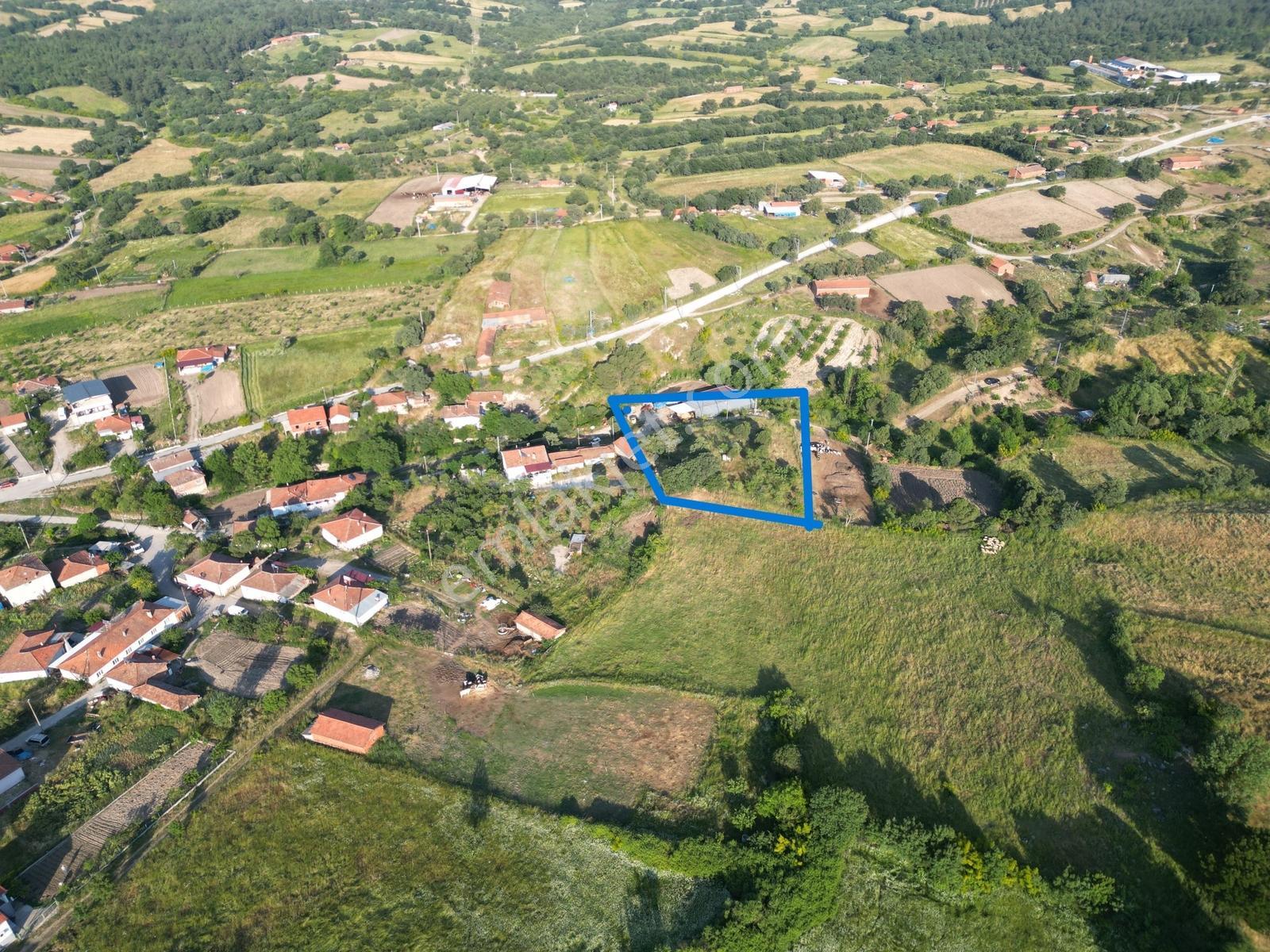 Altyapı Hazır, 1904 M² İmarlı Arsa, Meyve Ağaçları - Görsel 8