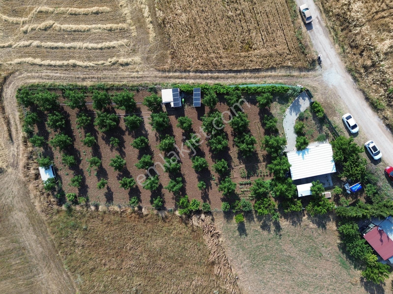 Kepsut Saraç Mah Satılık Prefabrik Yapı Ve Mükemmel Hobi Bahçesi