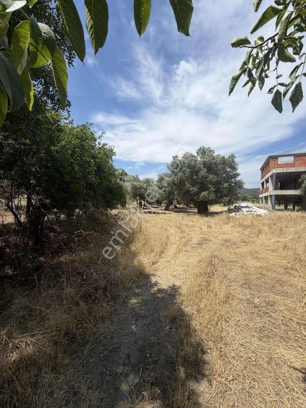 Foça Yenibağarasında 2.800 M² Arazi İçerisinde Satılık Taşınmaz - Görsel 4