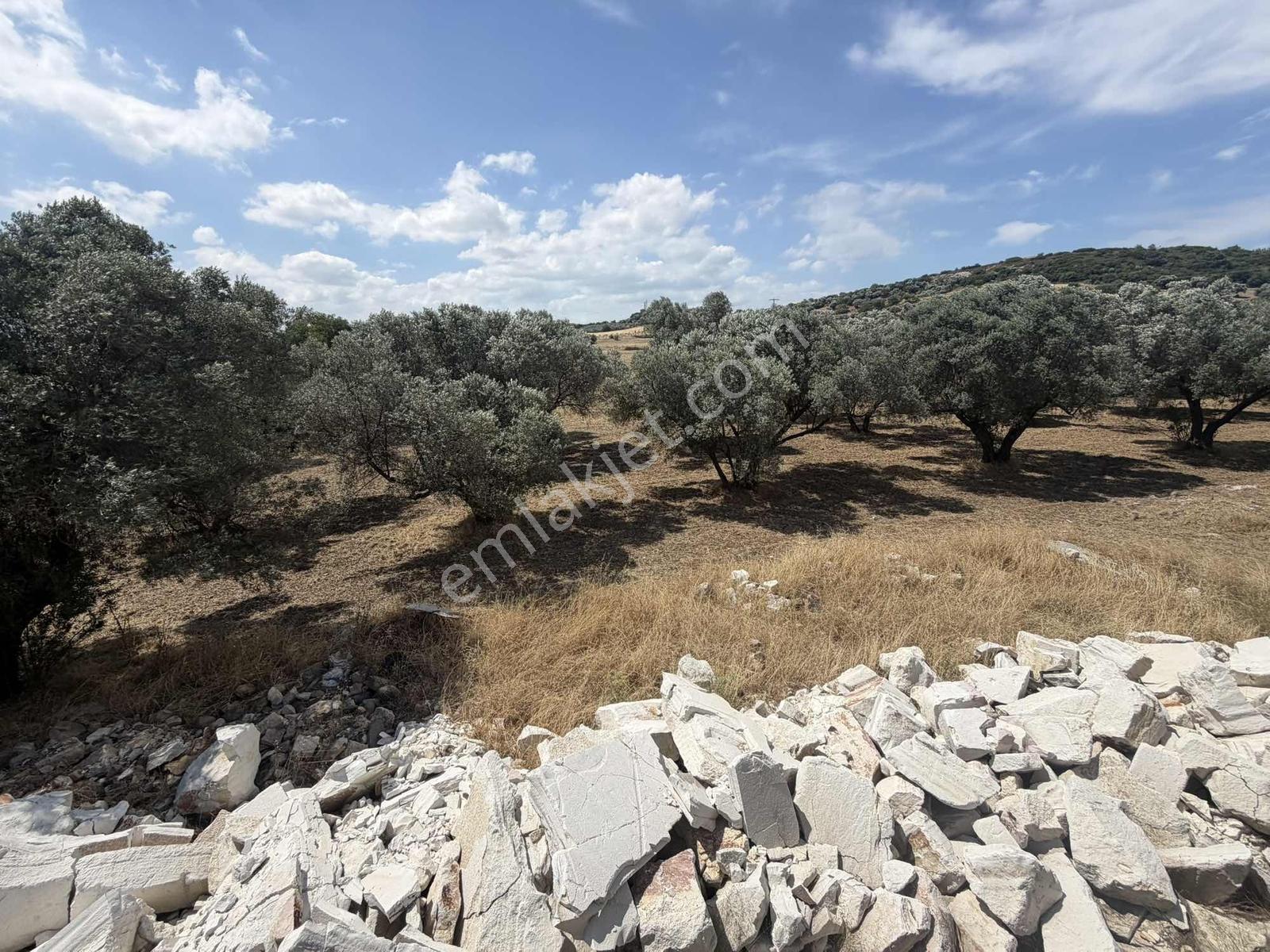 Foça Yenibağarasında 2.800 M² Arazi İçerisinde Satılık Taşınmaz - Görsel 26