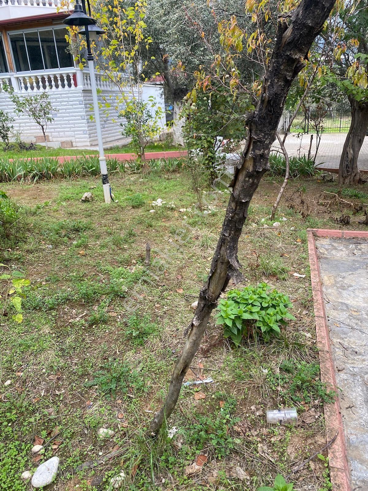 Güre'de Sahibinden Kiralık Villa Geniş Bahçeli - Görsel 8