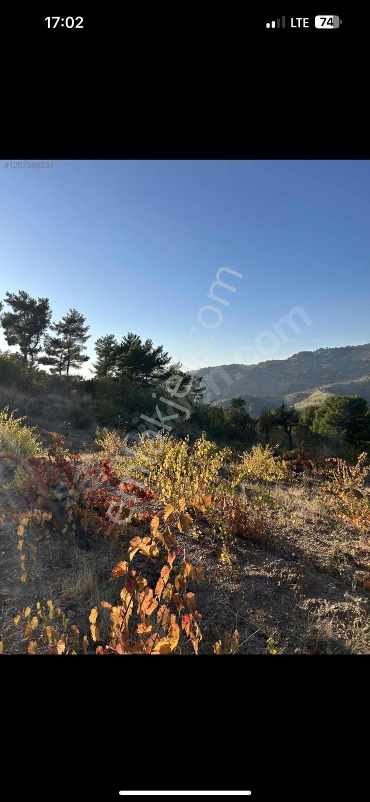 Kavacık'ta Satılık 12 Dönüm Arazi - Görsel 8