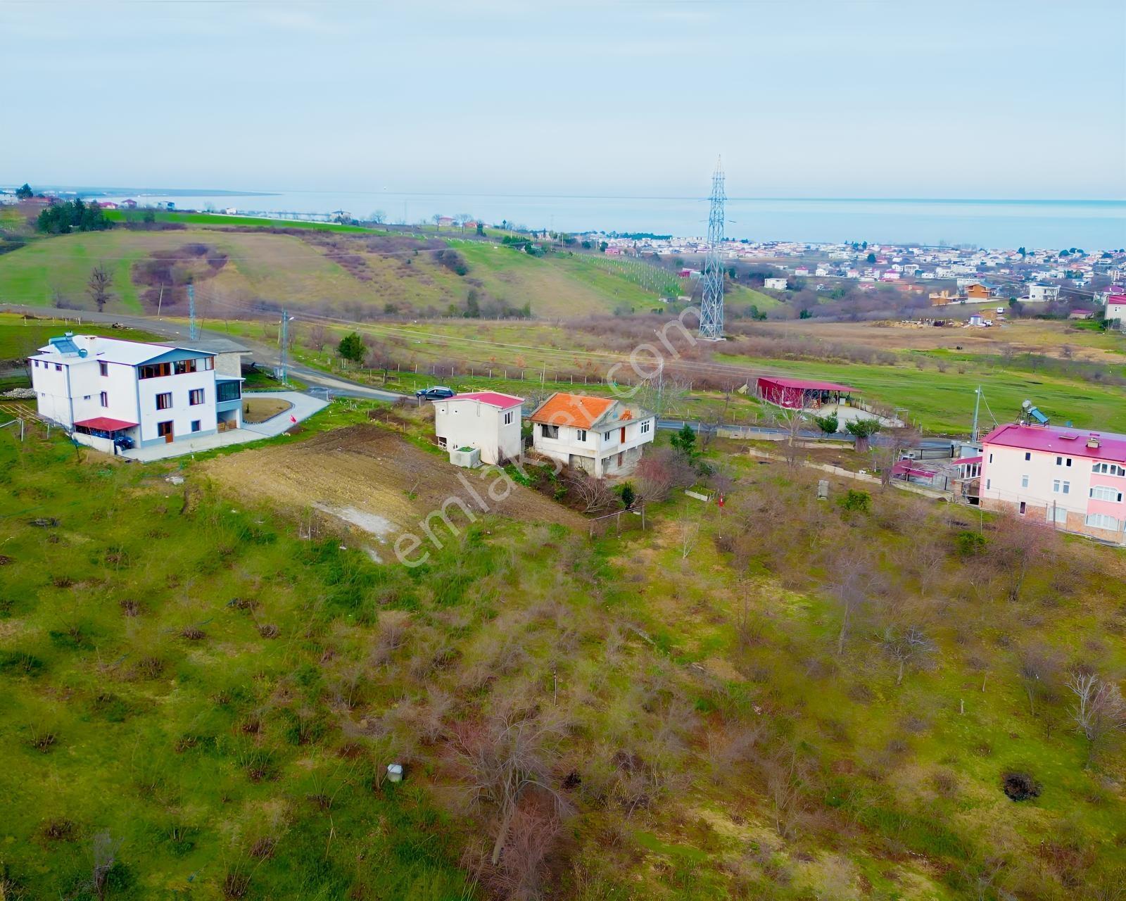Deneyim'den Atakum Taflanda İmar Sınırı İçinde 2 Evli Tarla - Görsel 6