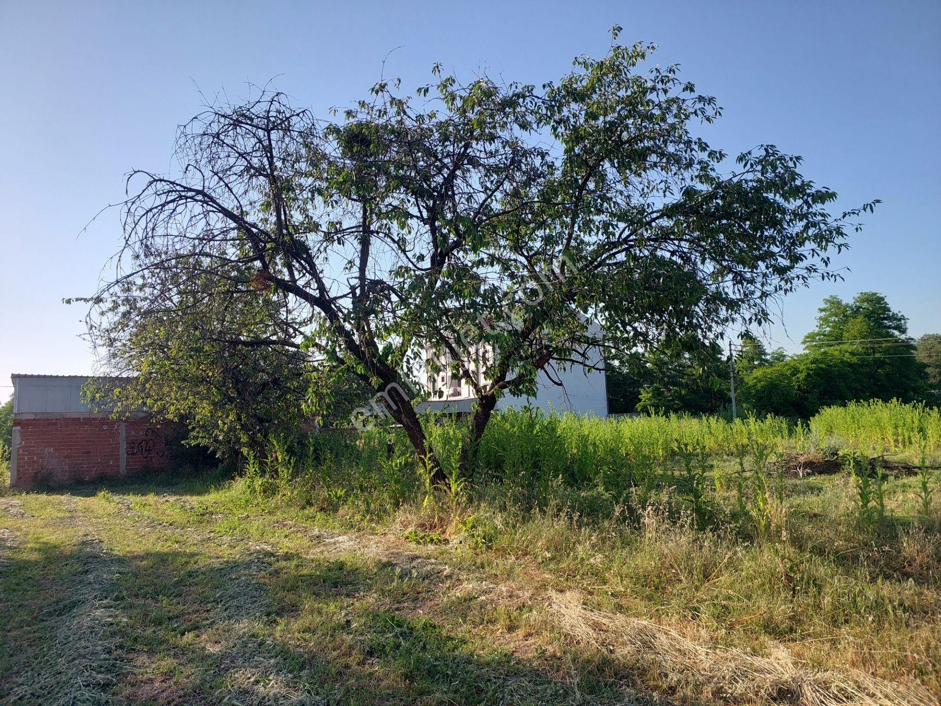 İnegöl Kurşunlu'da 295 M² Üç Kat İmar Konut Arsa - Görsel 11