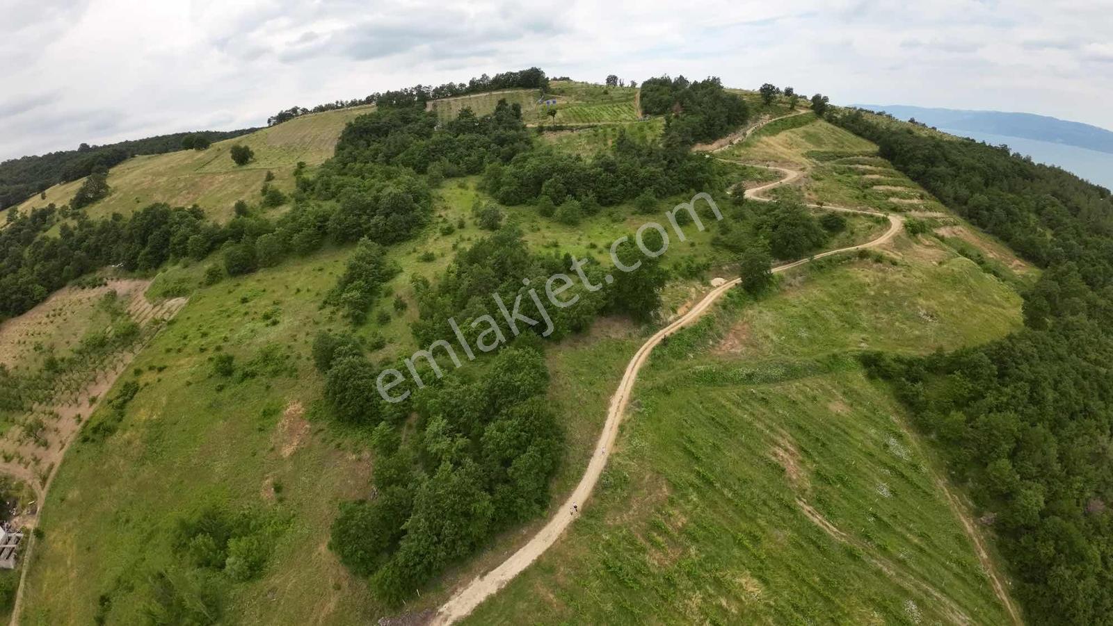 İznik Göllüce 3102 M2 Tek Tapu Göl Manzaralı Tarla - Görsel 8
