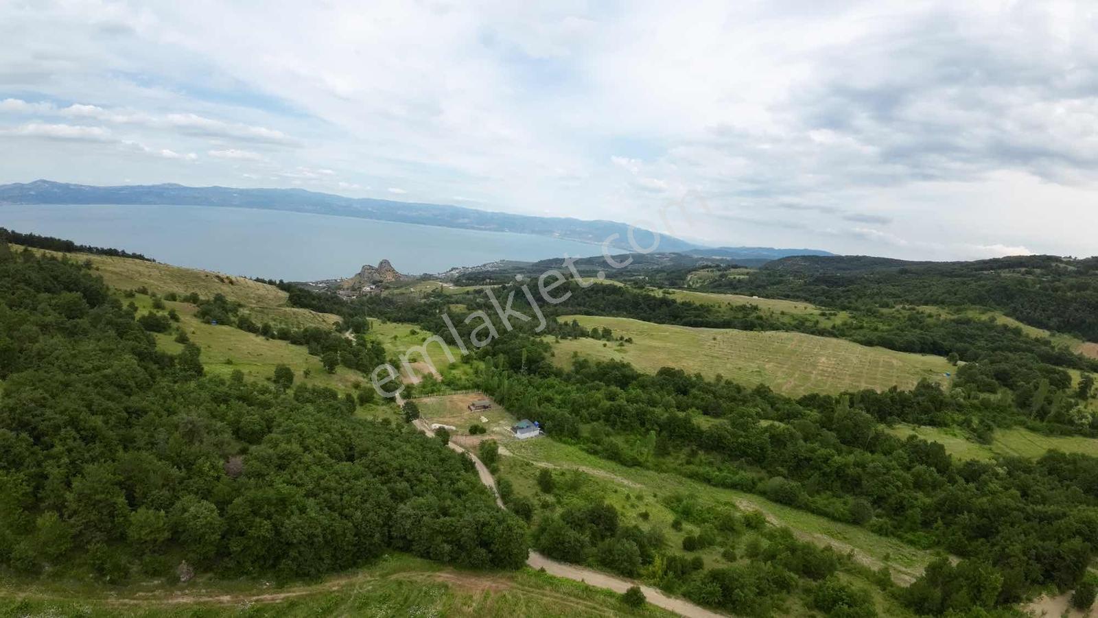 İznik Göllüce 3102 M2 Tek Tapu Göl Manzaralı Tarla - Görsel 5