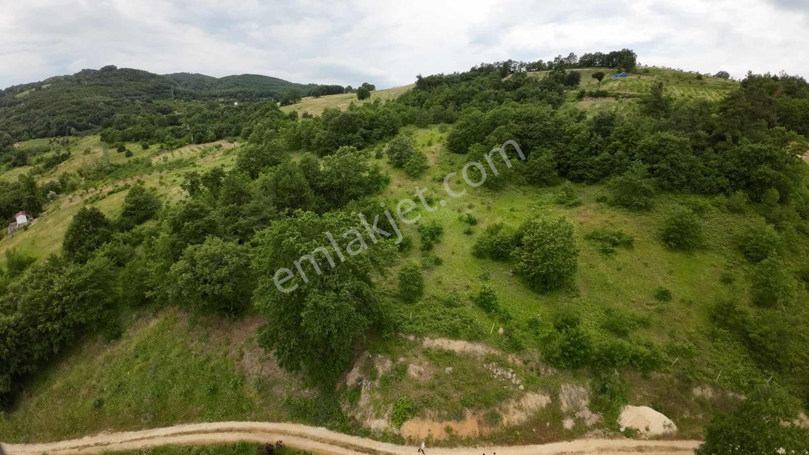 İznik Göllüce 3102 M2 Tek Tapu Göl Manzaralı Tarla - Görsel 14