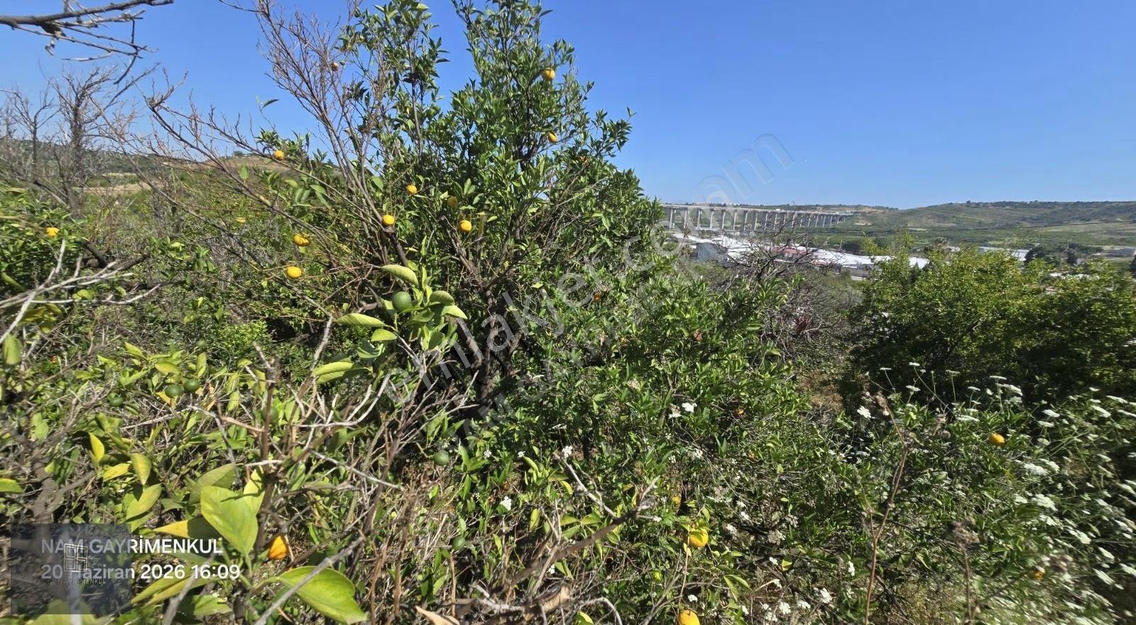 Çavak'ta Fırsat Yatırım İki Parsel 1095m², Müstakil Ve Hisseli - Görsel 18