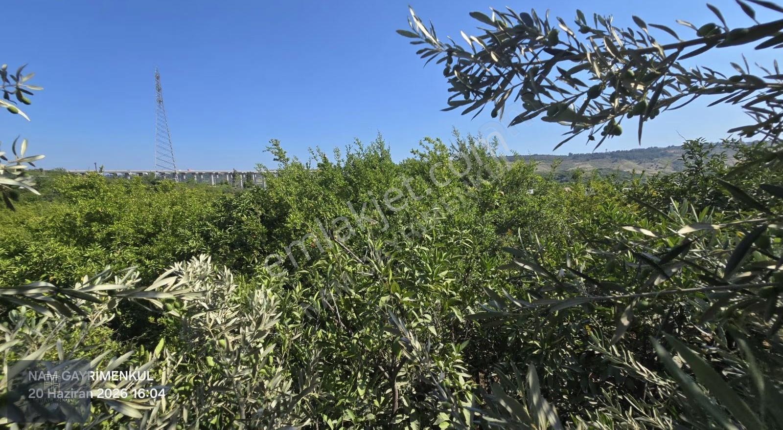 Çavak'ta Fırsat Yatırım İki Parsel 1095m², Müstakil Ve Hisseli - Görsel 15