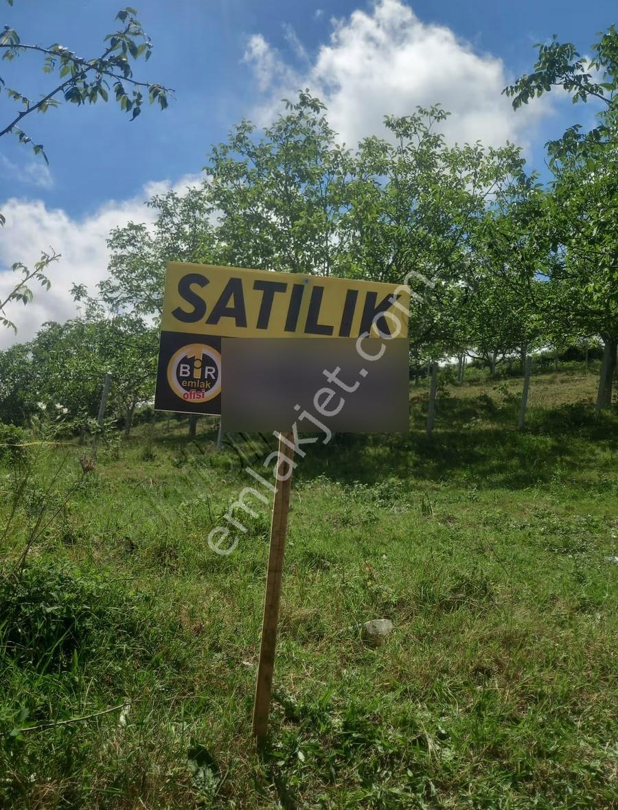 Türkmenlioğlu Köyünde İmarlı İfrazlı 900 Metrekare Tarla - Görsel 8