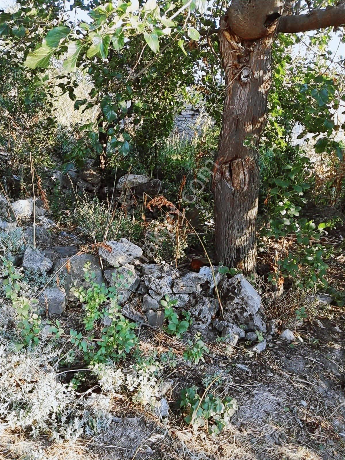 Karaardıç Mah 152 M2 Satılık Arsa - Görsel 7