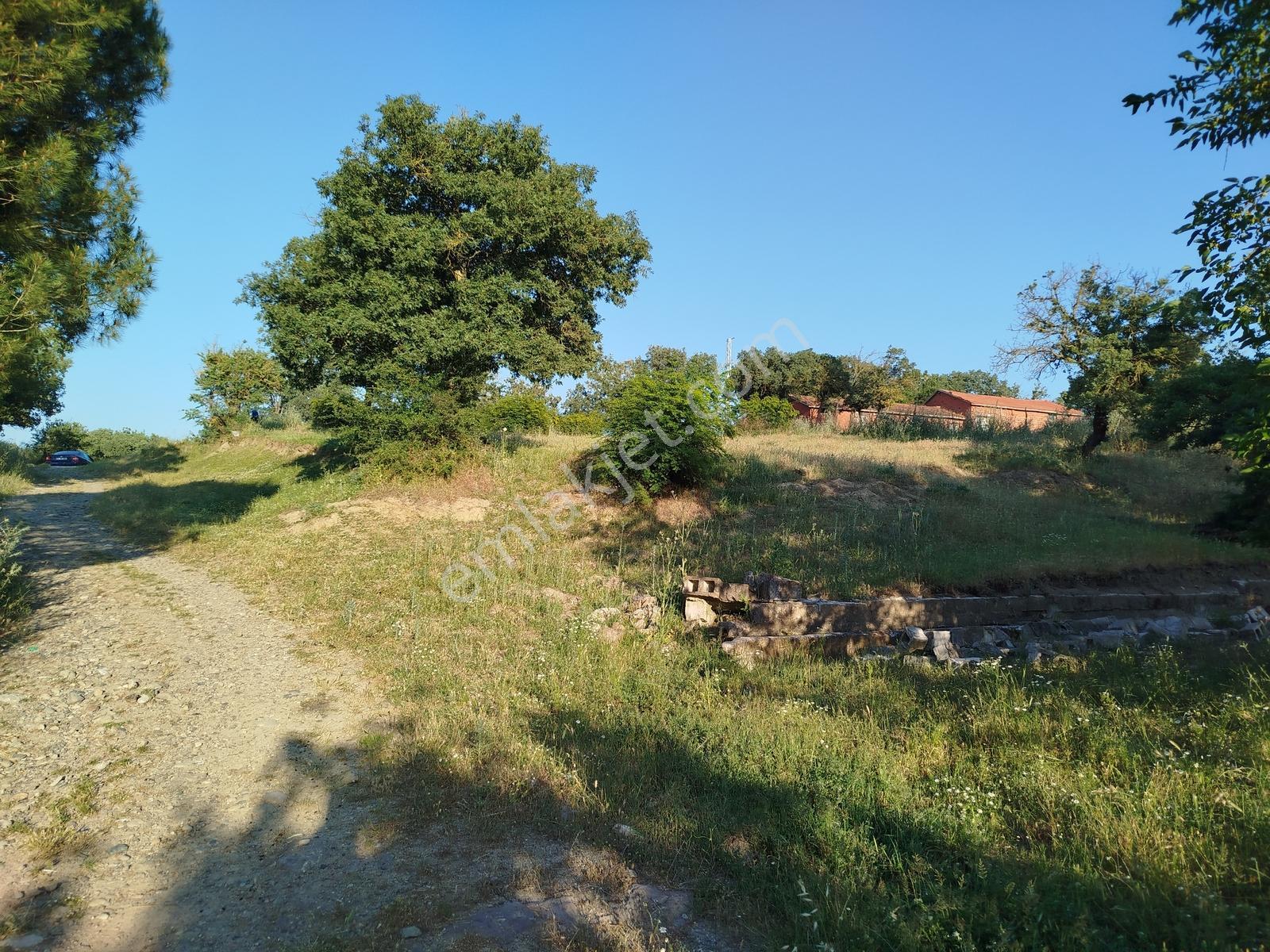 Köy Yerleşimine 130 Metre Tarla - Görsel 19