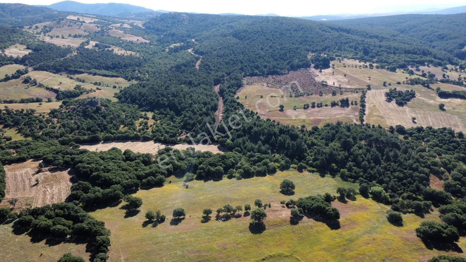 Çanakkale Bayramiç Yukarışapçı Köyün'nde Satılık Tarla - Görsel 16