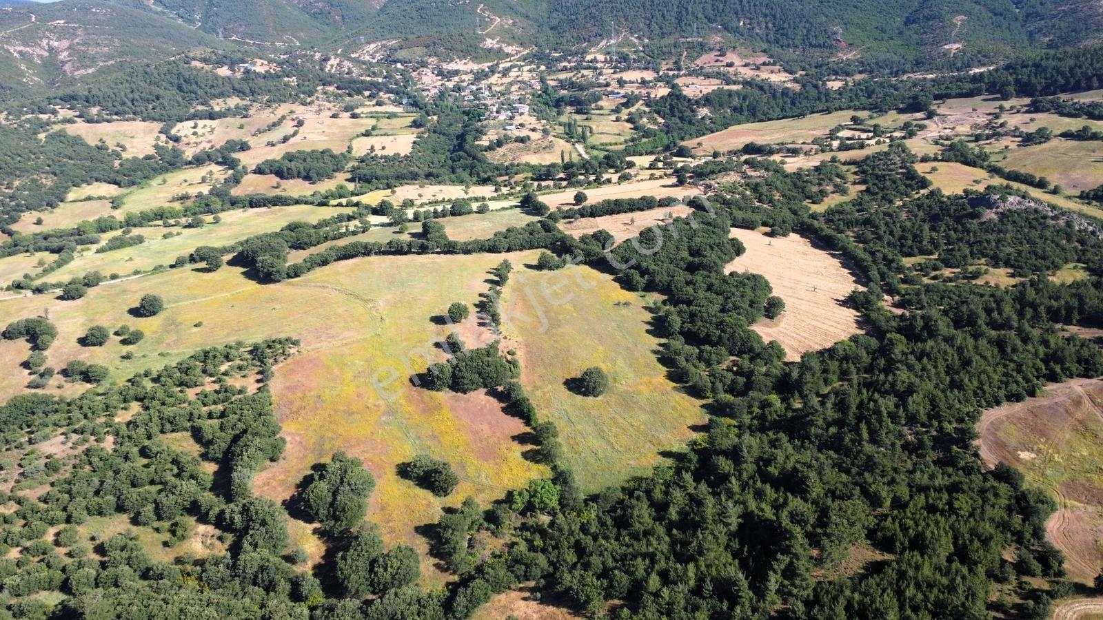 Çanakkale Bayramiç Yukarışapçı Köyün'nde Satılık Tarla - Görsel 11