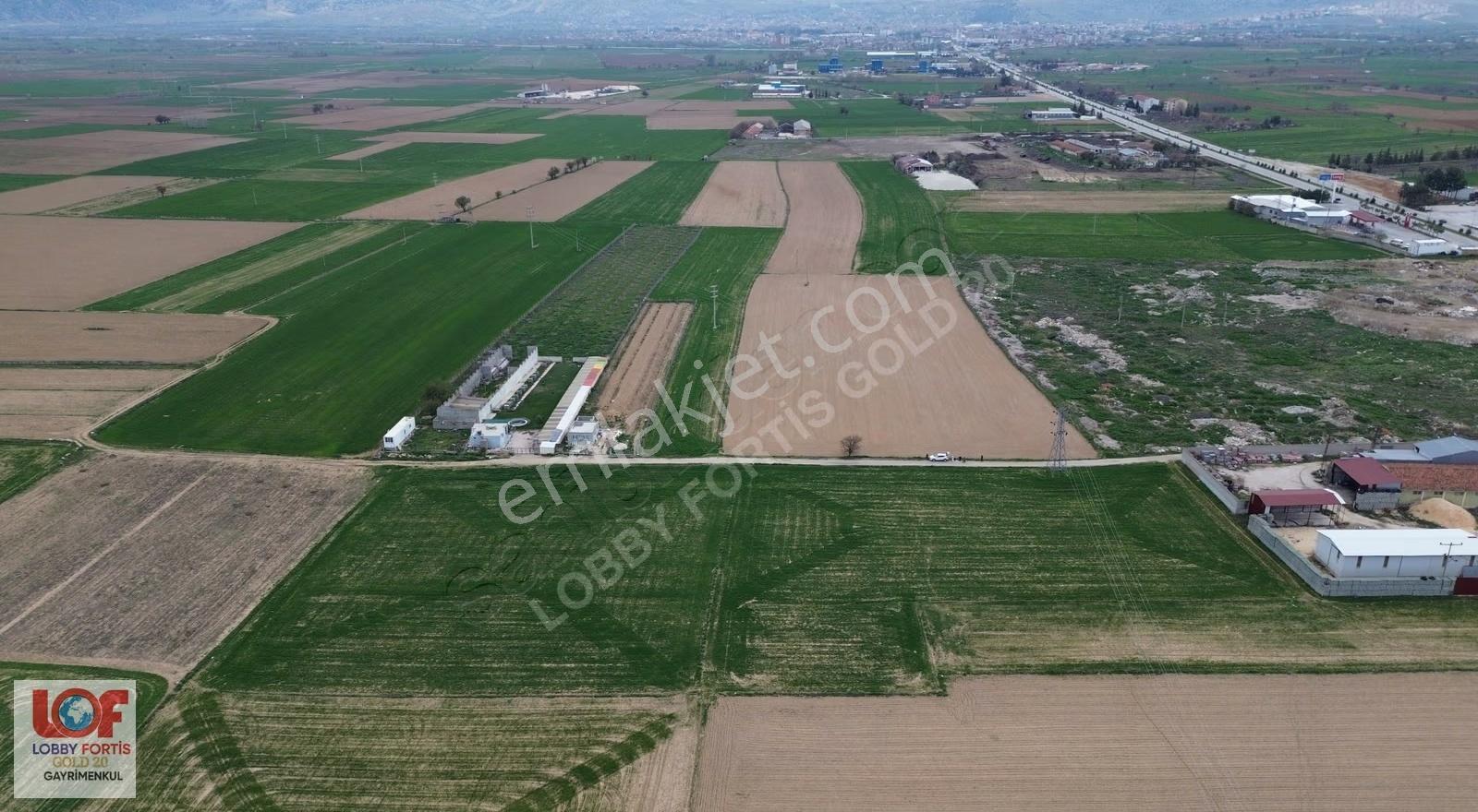 Lobby Fortis'ten Dinar Organizede Satılık 15000m2 Tarla - Görsel 13