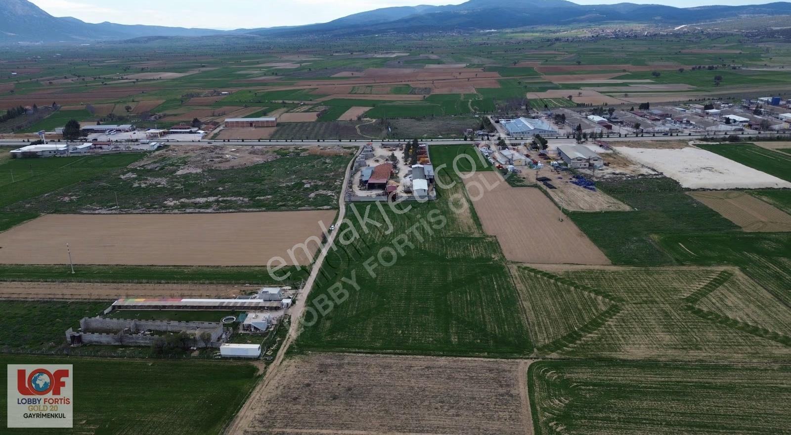 Lobby Fortis'ten Dinar Organizede Satılık 15000m2 Tarla - Görsel 18