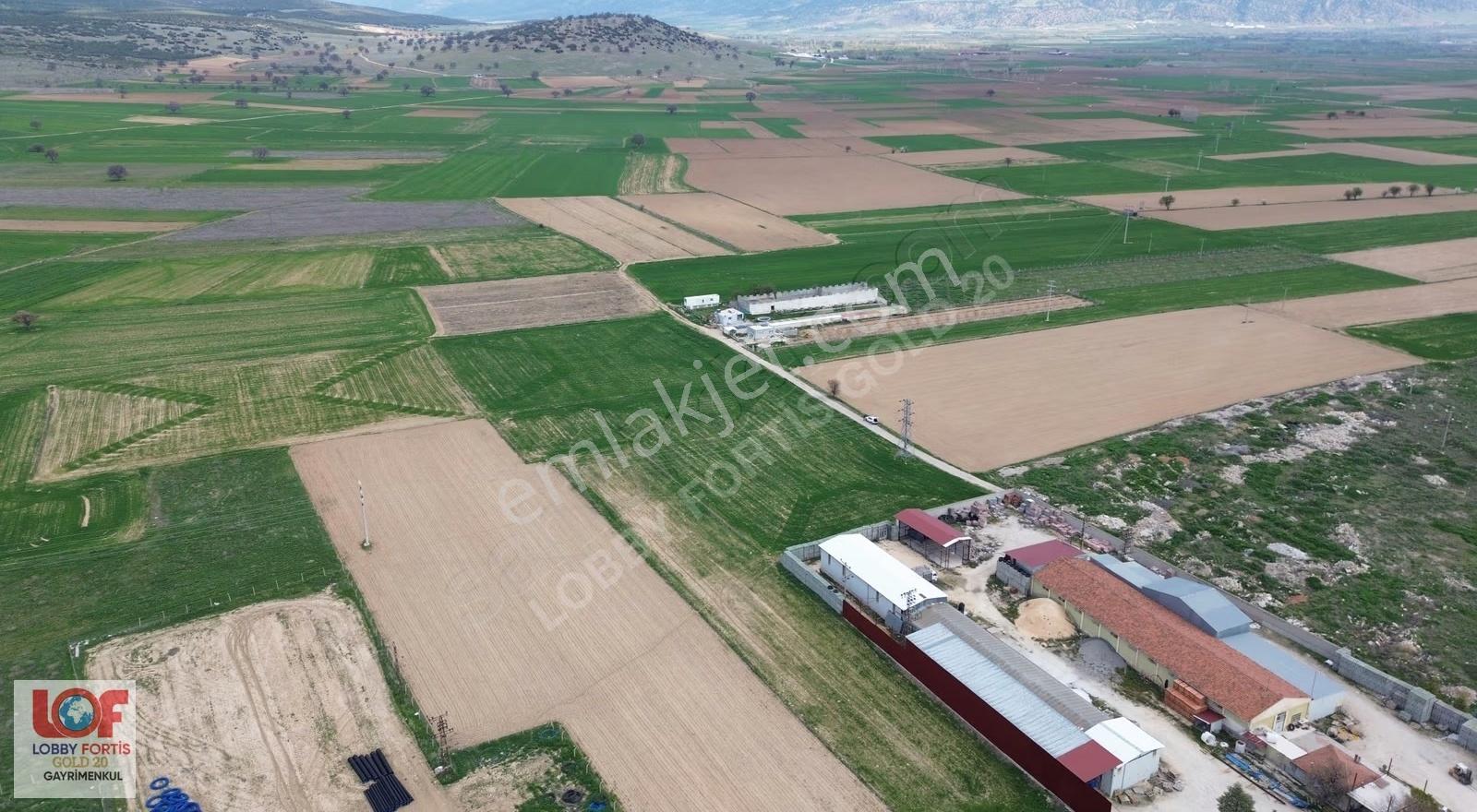 Lobby Fortis'ten Dinar Organizede Satılık 15000m2 Tarla - Görsel 24