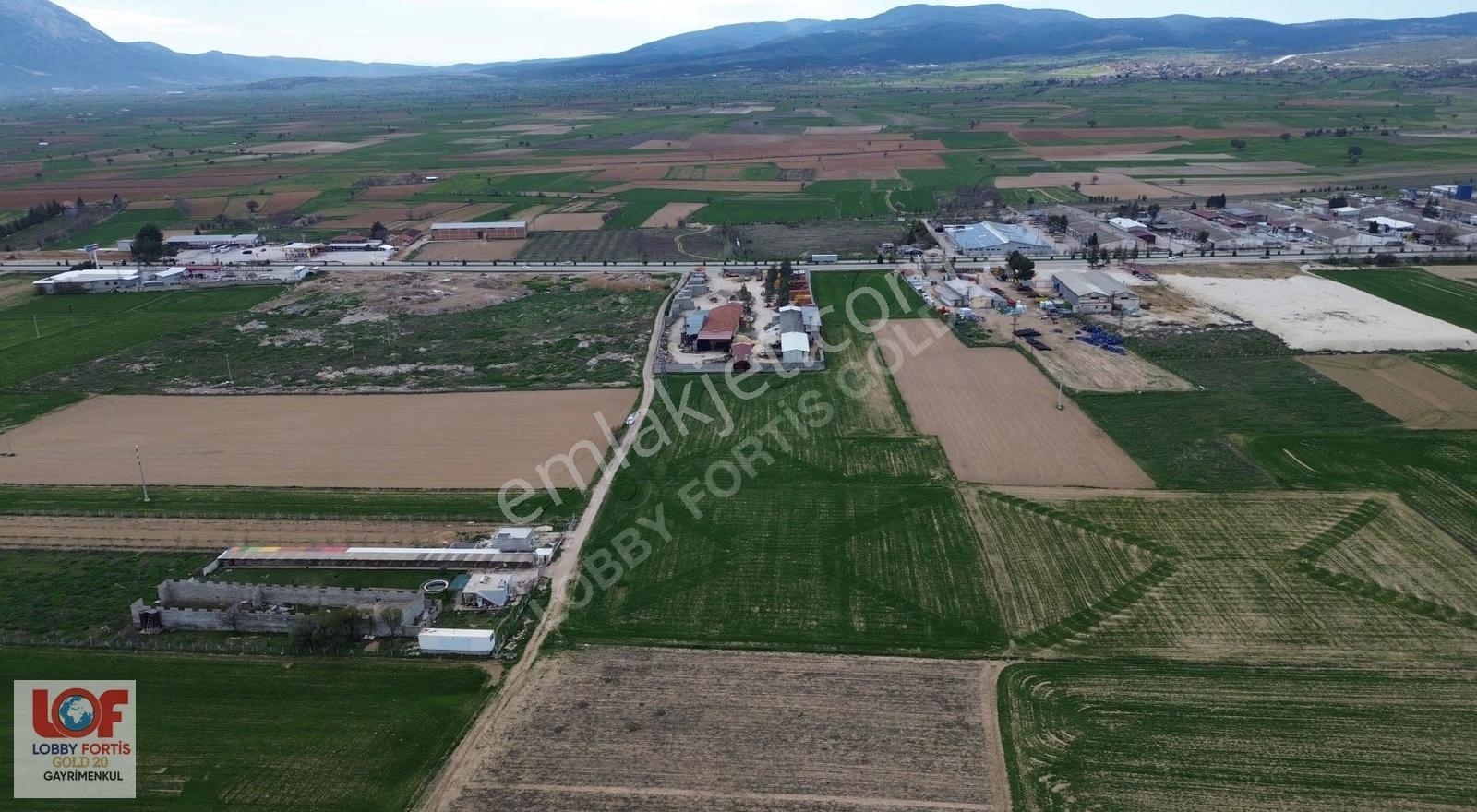 Lobby Fortis'ten Dinar Organizede Satılık 15000m2 Tarla - Görsel 12