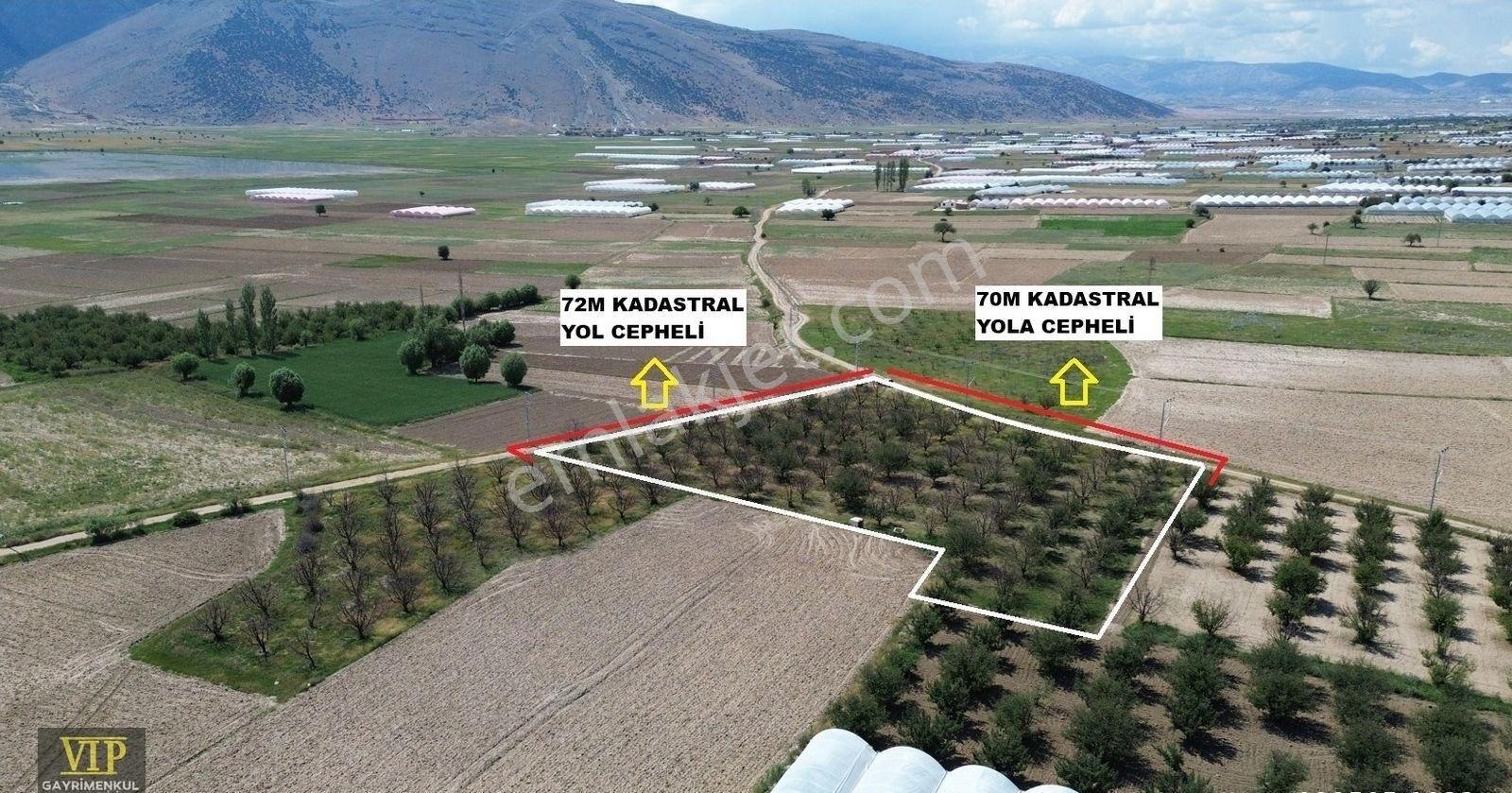 Vıp Gayrimenkul' Den Çukurelma Mah. Anayola Yakın Elma Bahçesi - Görsel 4