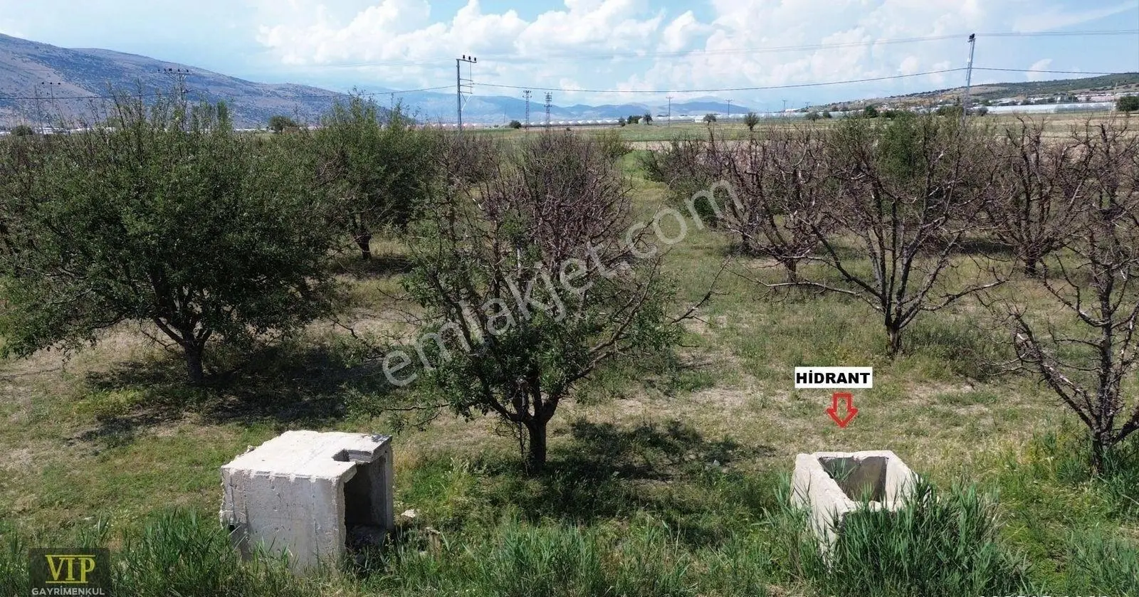 Vıp Gayrimenkul' Den Çukurelma Mah. Anayola Yakın Elma Bahçesi - Görsel 5