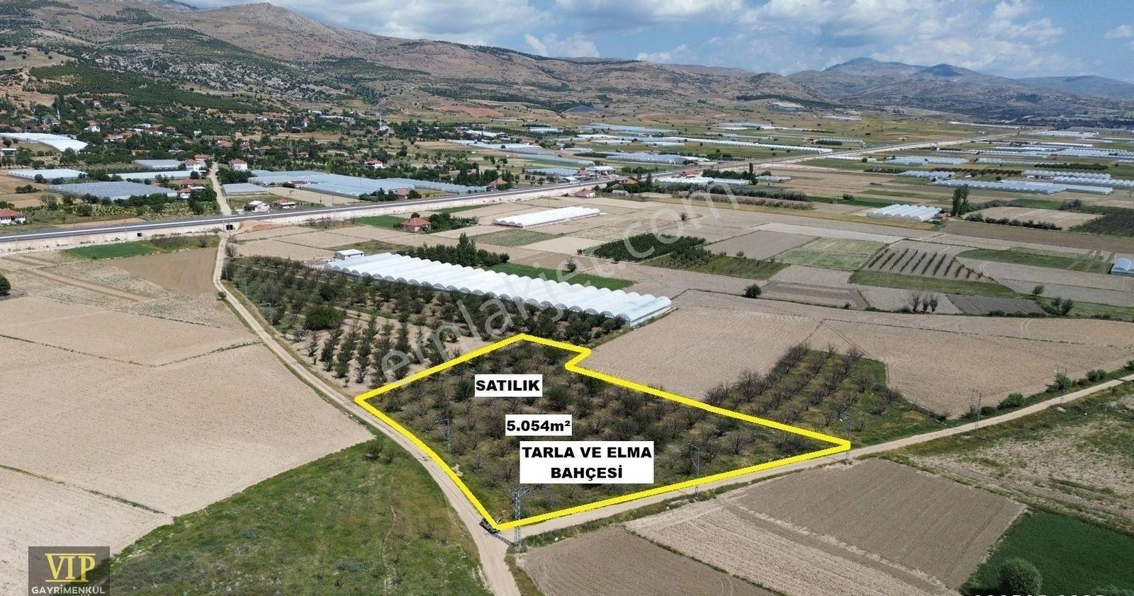 Vıp Gayrimenkul' Den Çukurelma Mah. Anayola Yakın Elma Bahçesi - Görsel 11
