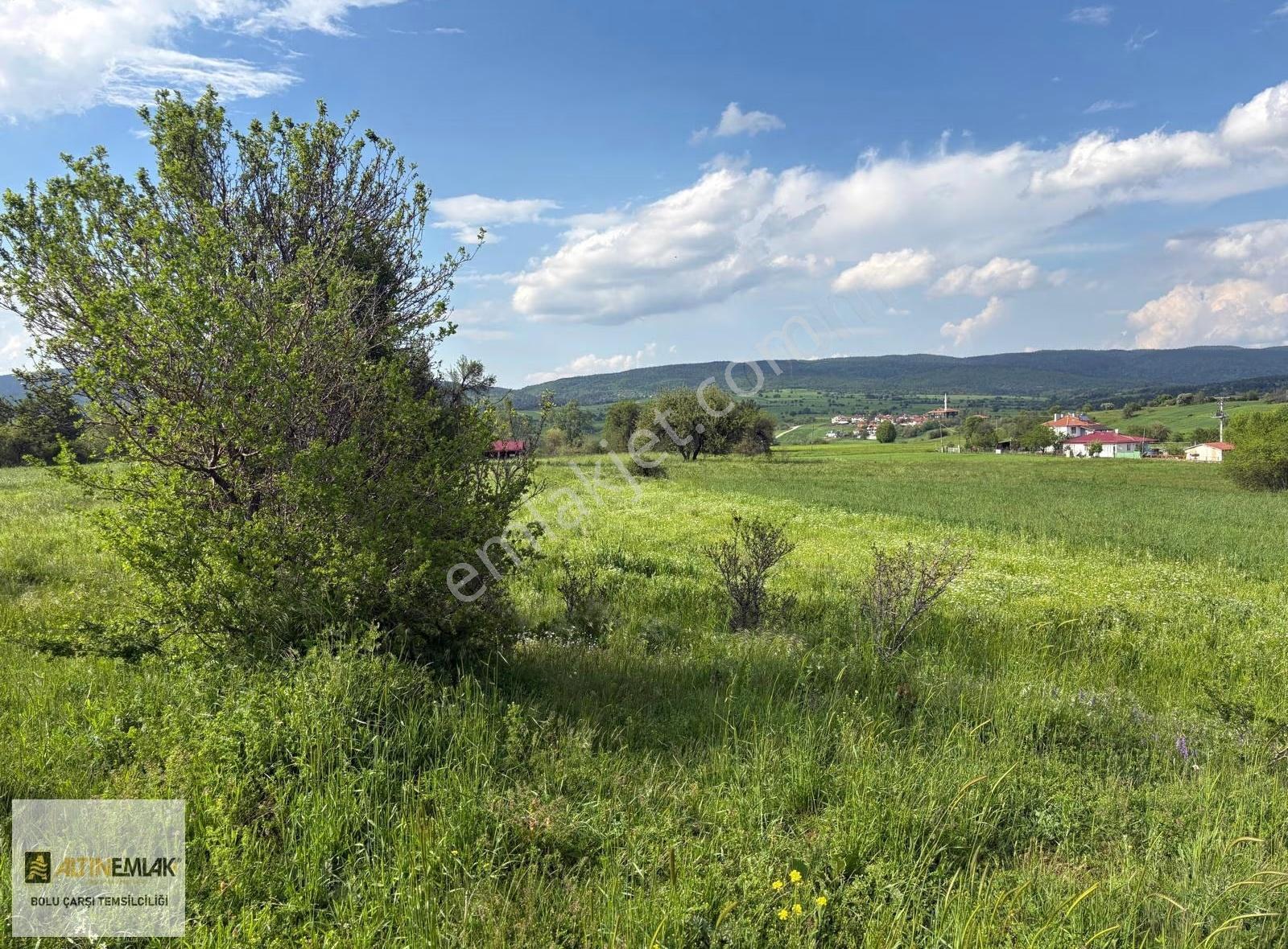 Altın Emlak Çarşı, Bolu Yeniçağa 'da 4.806 M² Villa Projeli Arsa - Görsel 4