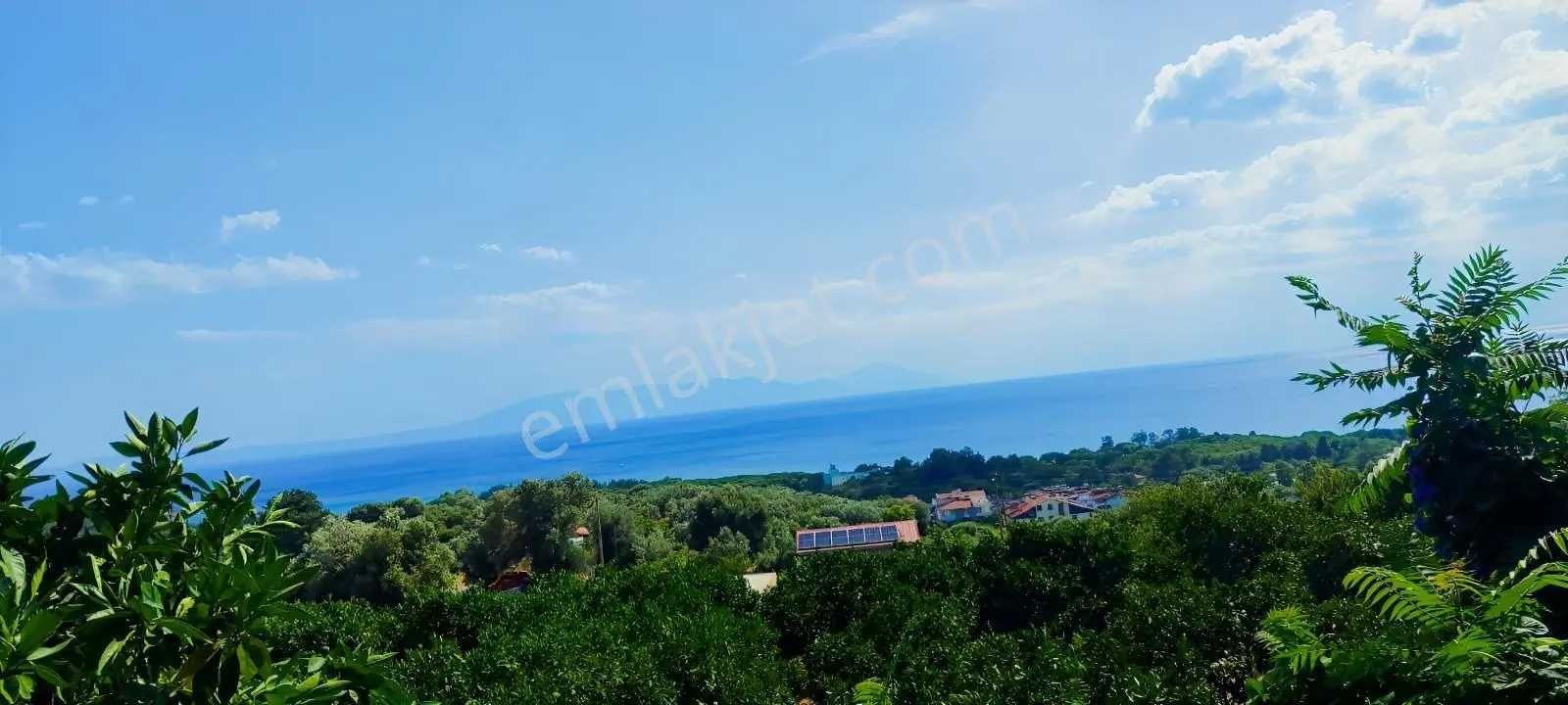 Özdere'de Panoramik Deniz Manzaralı Mandalin Bahçesi