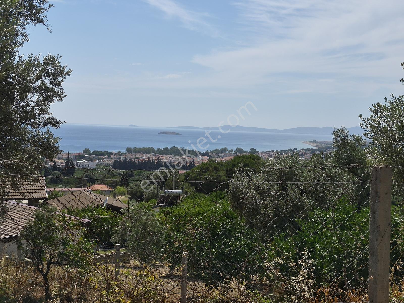 Özdere Orta Mahalle'de Deniz Manzaralı Mandalina Bahçesi - Görsel 2
