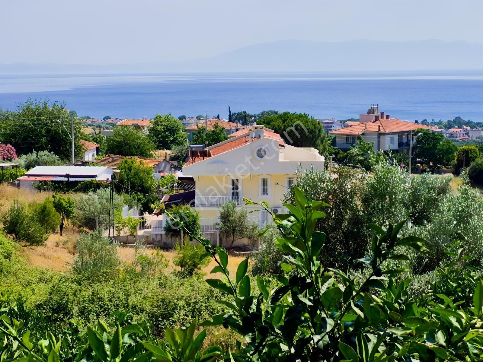 Özdere Orta Mahalle'de Deniz Manzaralı Mandalina Bahçesi