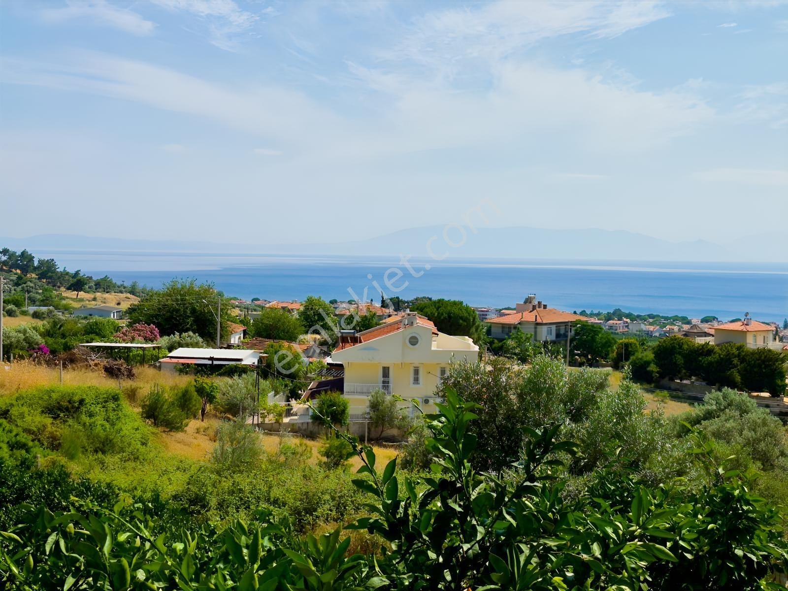Özdere Orta Mahalle'de Deniz Manzaralı Mandalina Bahçesi - Görsel 6